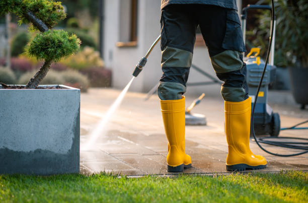 Best Deck Cleaning Services  in Plainview, TN